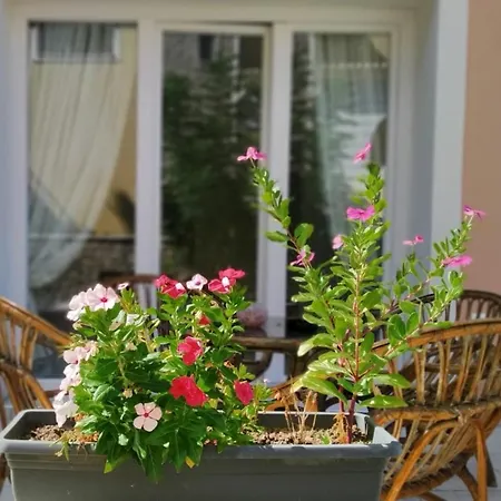 Sunshine 3 With Sea View Ferienhaus
